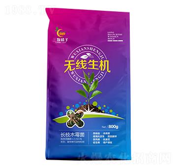 �o�����C(j��)-���w����