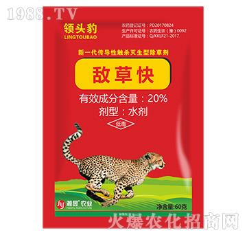 20%���ݿ�-�I�^��60��-���