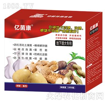 ��������(zhu��n)��-�|����R-ʢ����