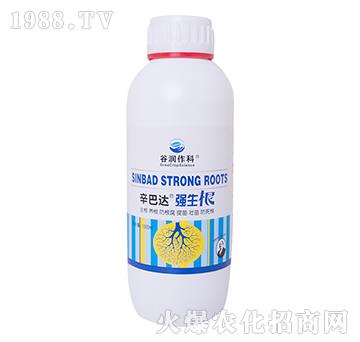 強生根-辛巴達-谷潤作科