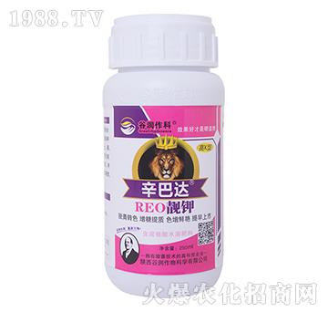 �n�-�����_-�ȝ�����