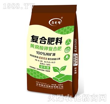 �S����⛏ͺϷ�18-6