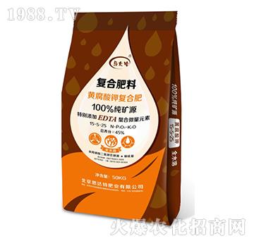 �S����⛏ͺϷ�15-5