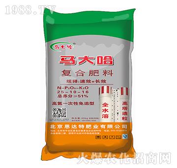 �����ͺϷ�25-10-