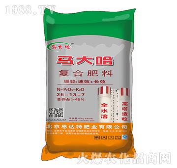 �����ͺϷ�25-13-