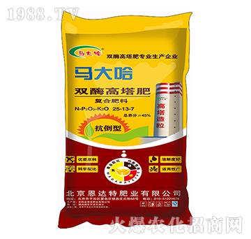 �����͸����ͺϷ�25-