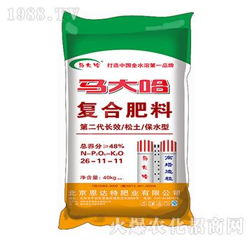 ���������ͺϷ���26-