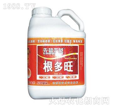 ������-� �����