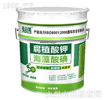 ��ֲ���-�������-��