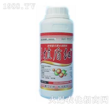 ֲ�ܼt-� �����