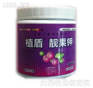 �n���-ֲ��-� �����