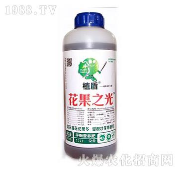 ����֮��-ֲ��-� ���