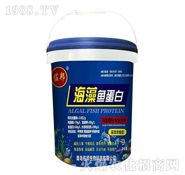 �����~(y��)����-����