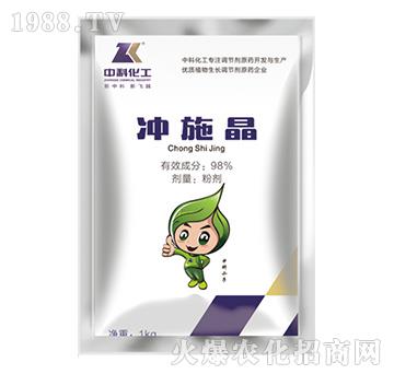 �_ʩ��-�пƻ���