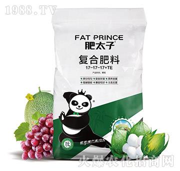 復(fù)合肥料17-17-17+TE-肥太子