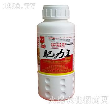 ƿ�b������-��Ӎ-���S��