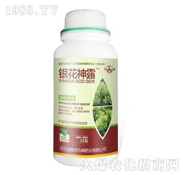 �y����¶-���