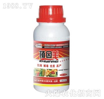 ͨ����ֲ����-� �����