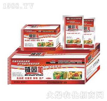 ֲ����С���b-� �����