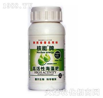 �߻��Ժ����-����-��