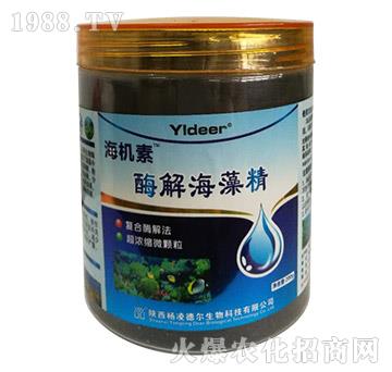 ø�⺣�徫-���C��-��