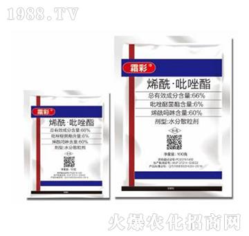 66%ϩ����������-˪��-�|������