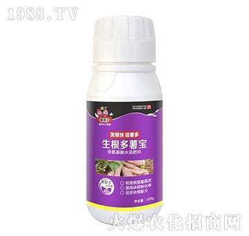 �������팚-�����-���A����(l��)