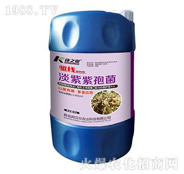 �������߾�-�(q��)��-��֮�W-��ؐ��