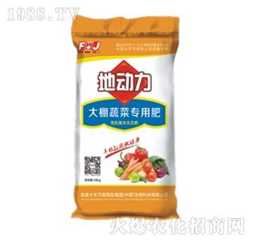 �����߲ˌ��÷�-�؄�(d��ng)��-�S�f��