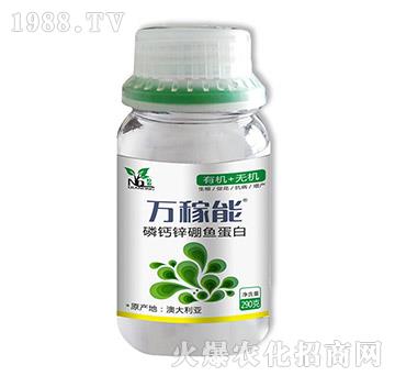 ���}�\���~����-�f(w��n)����-Ǭ�r(n��ng)