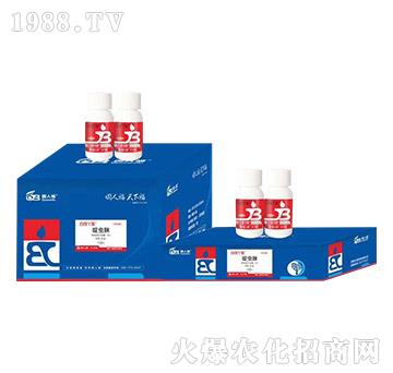 �׷�ʭ��(zhu��n)��ˎ-���gѾ��-��(gu��)�˸�