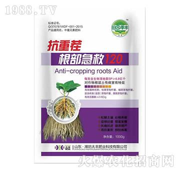 ���ز��������120-��@���S-���S�ʘI(y��)