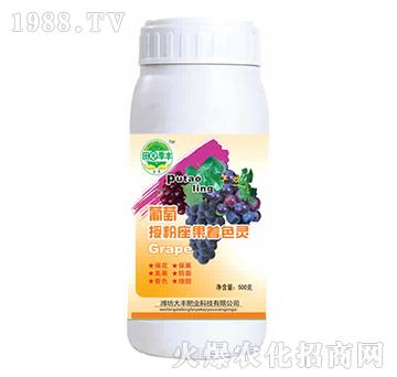 �����ڷ�������ɫ�`-��