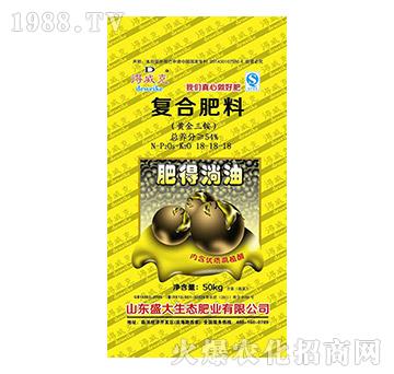 ��(f��)�Ϸ���18-18-18-�ʵ�����-ʢ��