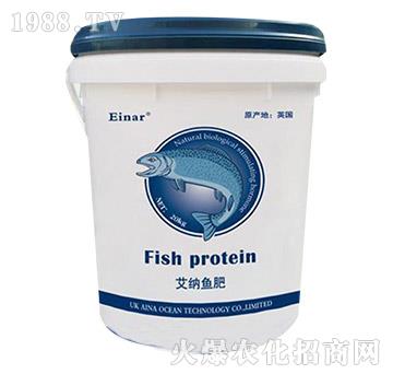 ���{�~(y��)��-���㺣