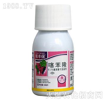 �籽¡-���S��-�G�D����