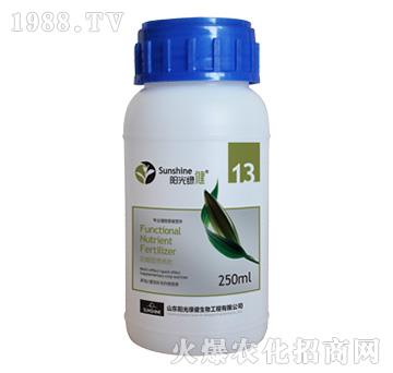 �����͠I(y��ng)�B(y��ng)��-����-13-ꖹ�G��