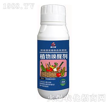 植物喚醒劑-根之道