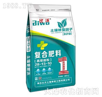 ���������ͺϷ���28-13-10-����