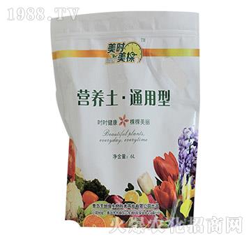 ͨ���͠I�B(y��ng)��-���r����-��ؾ�����