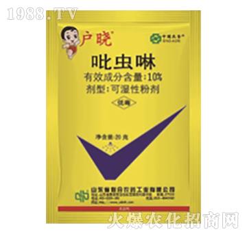 10%���x��-����-��