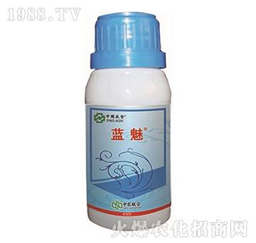 3%���S����-�{��-��