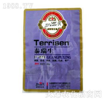 �V�V��̩����-ʥ�i