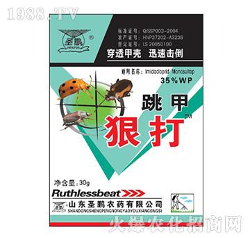 ���׺ݴ�-ʥ�i