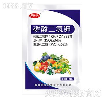 ��������-�t��(l��)