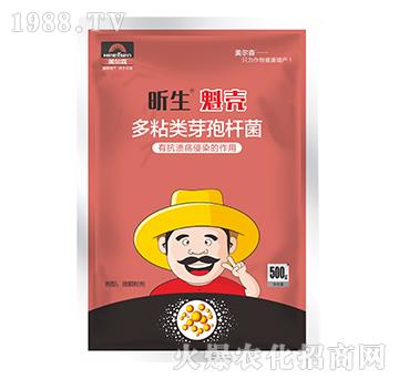 ��ճ�ѿ�ߗU��-�����