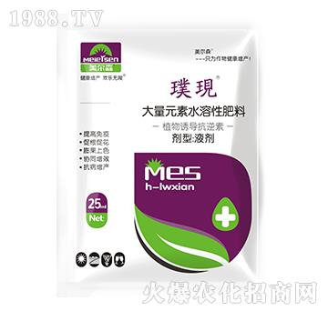 ֲ���T��(d��o)������-豬F(xi��n)-