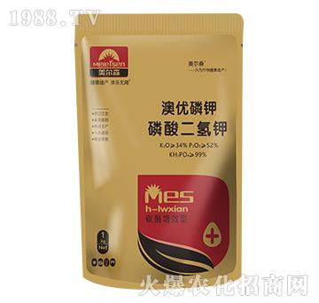 ��������-�ă�(y��u)���-