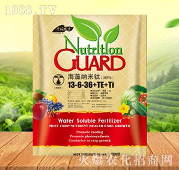 ����{����13-6-36+TE+Ti������-���ԁ��(l��)