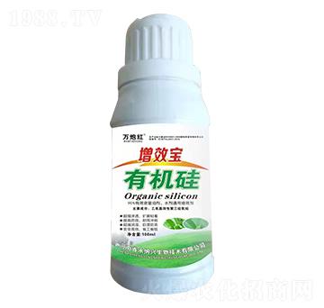 ��Ч���ЙC��-�f�ڼt-���{�d